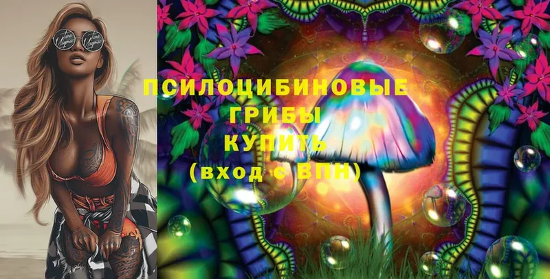 KRAKEN сайт  Азов  Псилоцибиновые грибы Psilocybe 