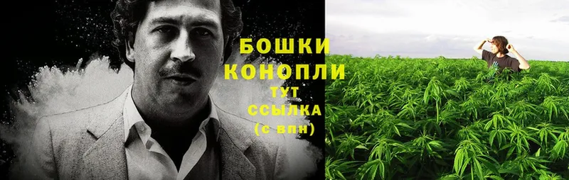 где купить наркоту  МЕГА как войти  Шишки марихуана OG Kush  Азов 